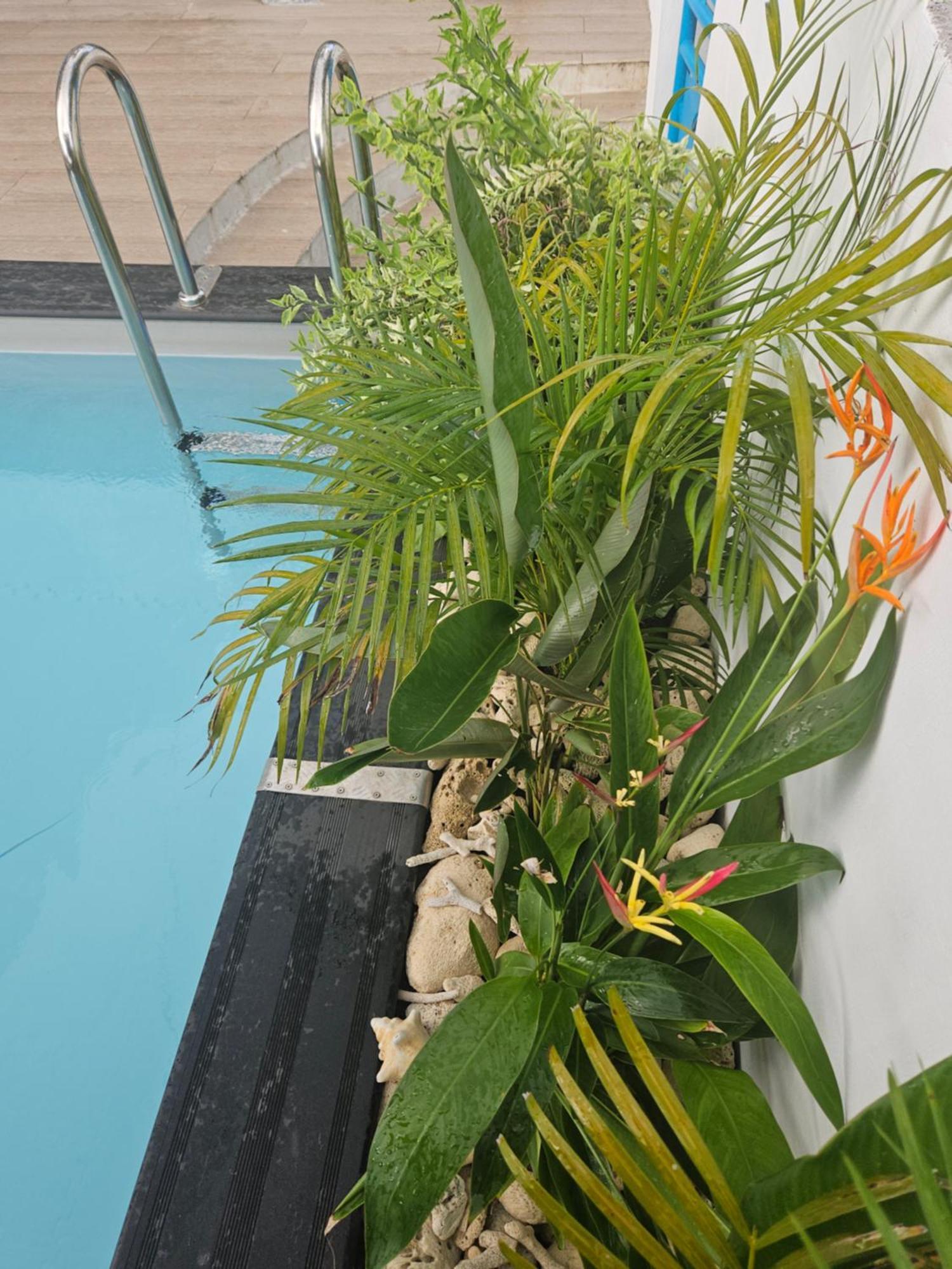 Ti Oasis Colibri, 1 Chambre, Piscine, A 150M De La Plage Sainte-Luce Dış mekan fotoğraf